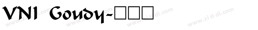 VNI Goudy字体转换